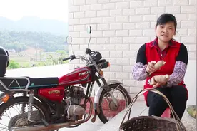 农村钟姐把木薯蒸出来吃，很好吃，但不敢吃太多，吃多了会醉视频封面