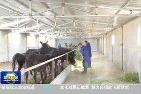 甘肃白银：张君泰和他的黑毛驴特色养殖业