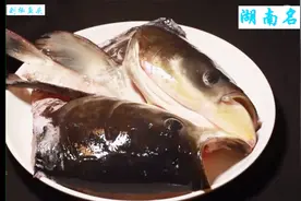 胖头鱼 不仅做鱼汤鲜美无比 也成就了湖南名菜 剁椒鱼头 美妙无穷视频封面