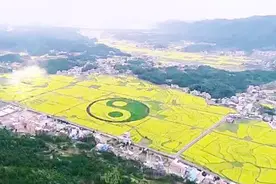 衡阳这个山村今年火了！堪比五星级景区为何不收一分钱？视频封面