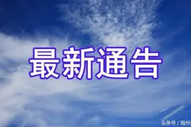 随州：这几天“沾花惹草”太热闹了莫走这里图片