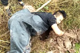 农村小伙发现一个黄鳝洞，徒手挖没想到黄鳝咬人，吓得立马缩手视频封面