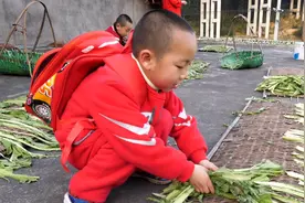 农村小孩的乐趣，放学不玩手机不看电视，回家帮妈妈干活视频封面