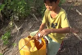 钓鱼：小孩捅个马蜂窝，蜂蛹作饵去钓鱼！