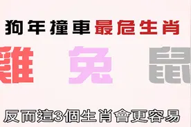 苏民峰：2018狗年要注意驾车的生肖视频封面