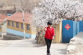实拍：走进莱阳的“杏花村”刘海寺，现在正是赏花时节视频封面