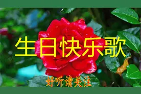华语群星-生日快乐歌.mp3视频封面