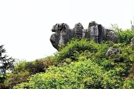 四川的黄金三角区，必定有这个城市的一席之地，你知道是哪吗？视频封面