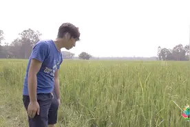 印度的地理条件真是不错，地平水多，可耕种面积比中国还多视频封面