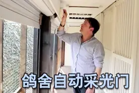 极品鸽友的豪华鸽舍，采光门都是全自动的！舍得花本钱视频封面
