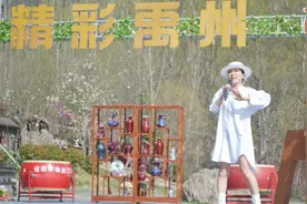 周艳泓演唱《你走吧》禹州现场版视频封面