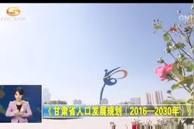 《甘肃省人口发展规划（2016—2030年）》出台视频封面