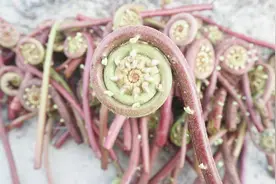 清明时节南方农村很常见的一种野菜，外形奇特，能吃吗视频封面