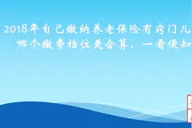 2018年自己缴纳养老保险有窍门儿，哪个缴费档位更合算，一看便知视频封面