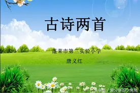 小学语文国家级优质课《古诗两首》人教版三年级下册教案视频课件图片