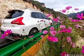 虽然假期只有5天，但完全能在省际美美自驾游（附15条线路攻略）图片