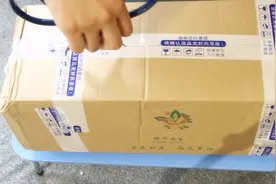 开箱多肉黑法师老桩，超级好养，容易活，造型美观又霸气视频封面