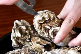 教你做蒜蓉生蚝，肉质鲜嫩，做法简单易学视频封面