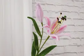 几分钟教你做漂亮的百合花，在家无聊没事可以做，放在屋里很漂亮视频封面