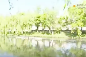 怎么回事？宝象河水颜色突然变深 并且散发着浓烈的臭味视频封面