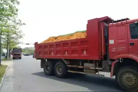 北海：5辆渣土运输车因撒漏已被暂扣图片