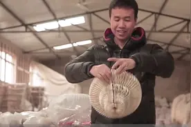 中国艺术家受纸葫芦启迪，造可伸缩纸雕塑，老外看了赞不绝口！视频封面