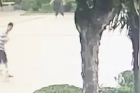 西安：遛狗不拴绳致路人摔伤 犬主人被判赔付20多万！视频封面