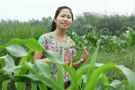姑娘一首《我的快乐就是想你》真好听，接地气视频封面