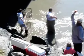这条小河里的鱼好多啊，站在岸边就能捕到很多鱼，真过瘾视频封面