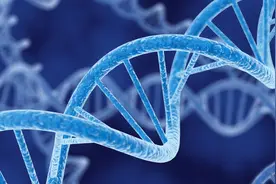人体基因、DNA、染色体究竟有什么区别？2分钟快速了解一下视频封面