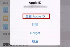 APP悄然扣费？网警教你如何对第三方支付平台的“免密支付”解约！图片