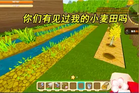 迷你世界：萌新第一次种植小麦！还是大神粉丝教的好