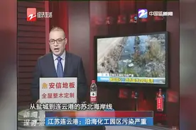 江苏连云港：沿海化工园区污染严重视频封面