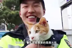 我们知道有警犬，但为什么没有警猫？请原谅我不厚道的笑了视频封面