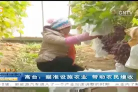 甘肃高台：瞄准设施农业 带动农民增收视频封面