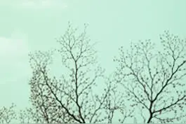 很好玩的手指操图片