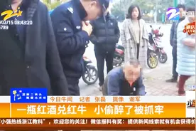 喝了一瓶红酒兑红牛，小偷醉倒被抓大牢视频封面