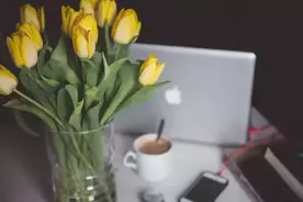 活着，想那么多干嘛~图片