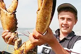 全世界最大的虾，保守估计100岁，中国吃货：这该怎么吃？视频封面