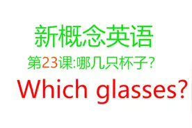 向别人要东西英语怎么提问？新概念英语第23课！Which glasses！视频封面