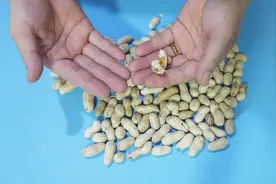 剥花生我只服这个方法，又快又不伤手，简单实用，为家人收藏了视频封面