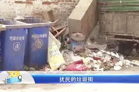 石家庄有条“垃圾街”，臭气熏天，4月份就苍蝇满天飞！视频封面