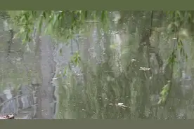 洗衣洗菜洗车 本来美丽的景观河变身脏臭油污视频封面