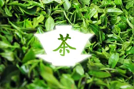 喝新茶易得胃病，春夏还需慎饮雨前茶！图片