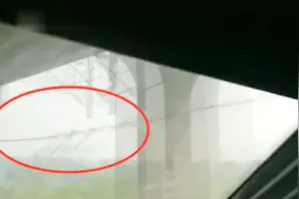 不明物体逼停高铁20分钟！竟是一块塑料膜，多班列车因此晚点视频封面