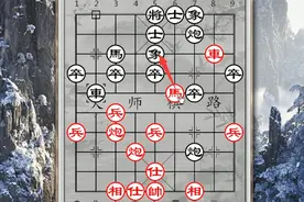 特级大师邀请赛：许银川杀心骤起，一马换双象车双炮碾杀柳大华视频封面