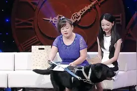 姑娘因一场车祸导致失明，一条导盲犬改变她阴暗的生活视频封面