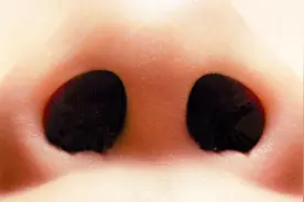 只有百分之30的人可以放大和缩小自己的鼻孔？说出来你都不相信