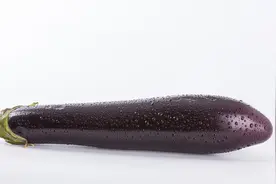 十大抗氧化食物，老人平时多吃可以缓解衰老预防痴呆视频封面