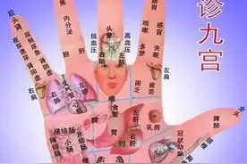 九宫手诊脏腑图，附手诊歌诀！几乎失传的手诊，非常有用图片